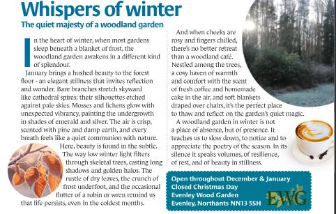 Evenley Wood Garden Deac 25 Jan 26